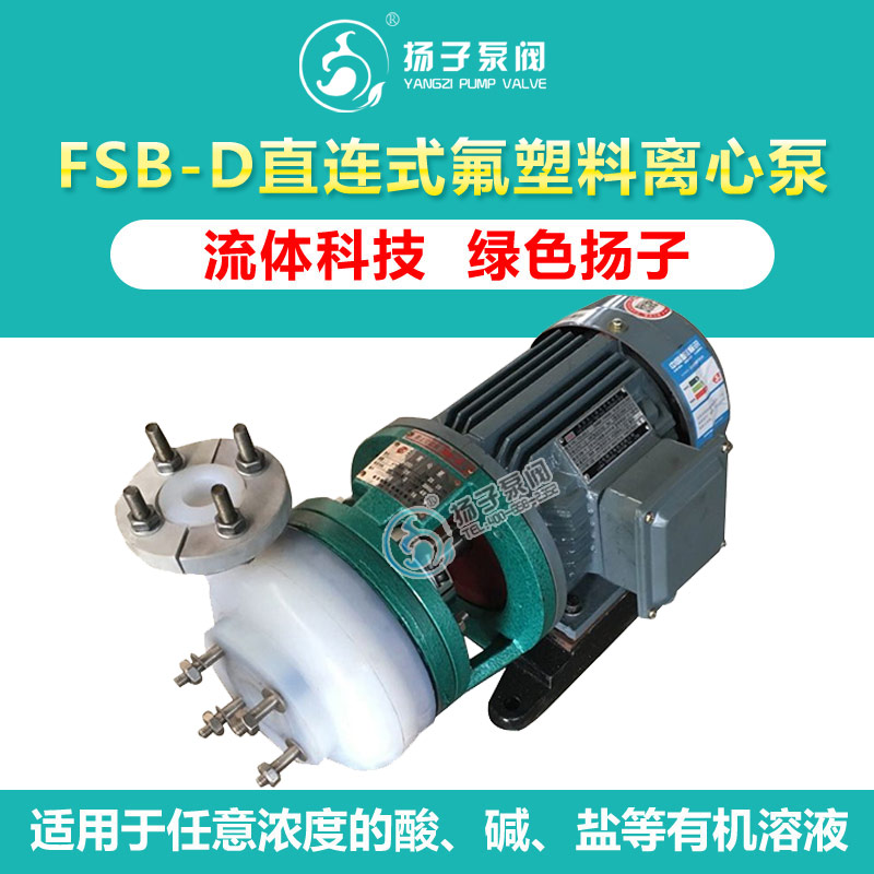 <b>FSB-D型直联式氟塑料化工泵</b>