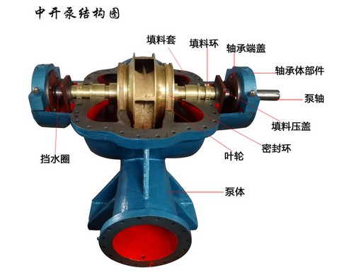 中开泵结构图.jpg